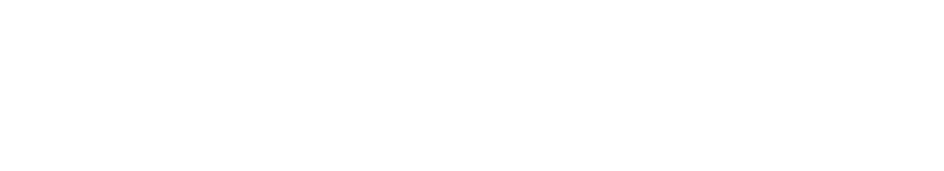 ¥16,500（税込・送料無料）