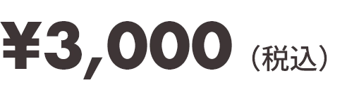 ¥3,000（税込）