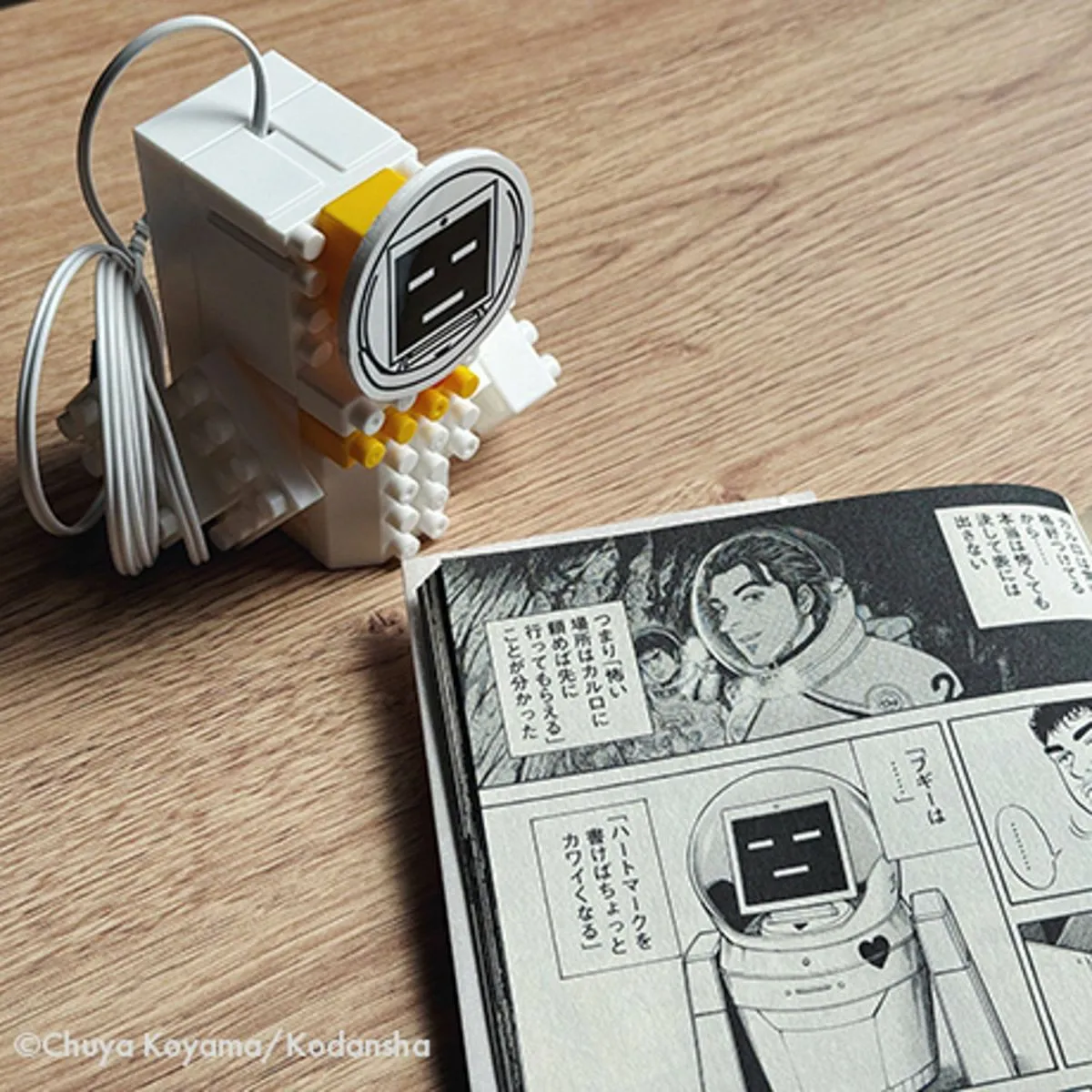 シンボルマークカーサンシェード