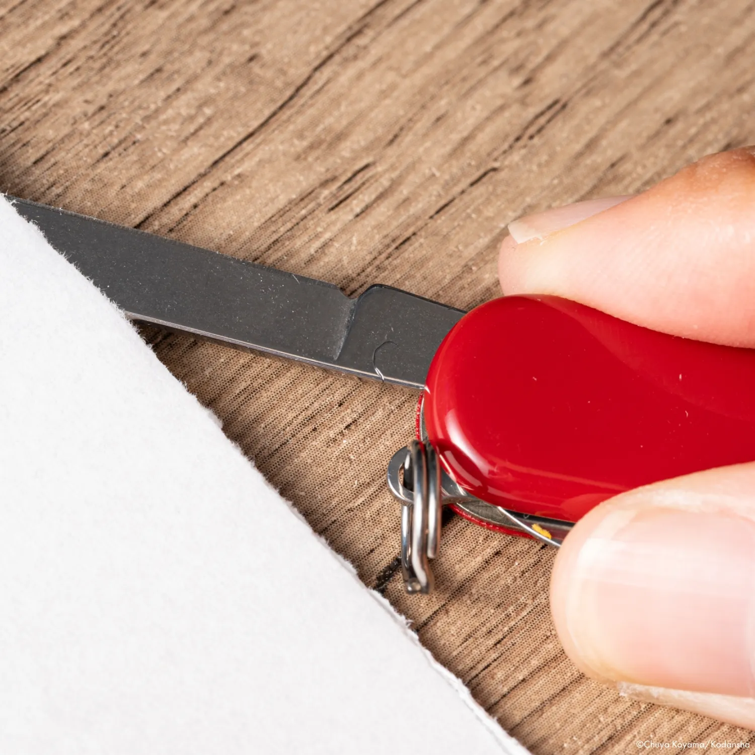 cart-set